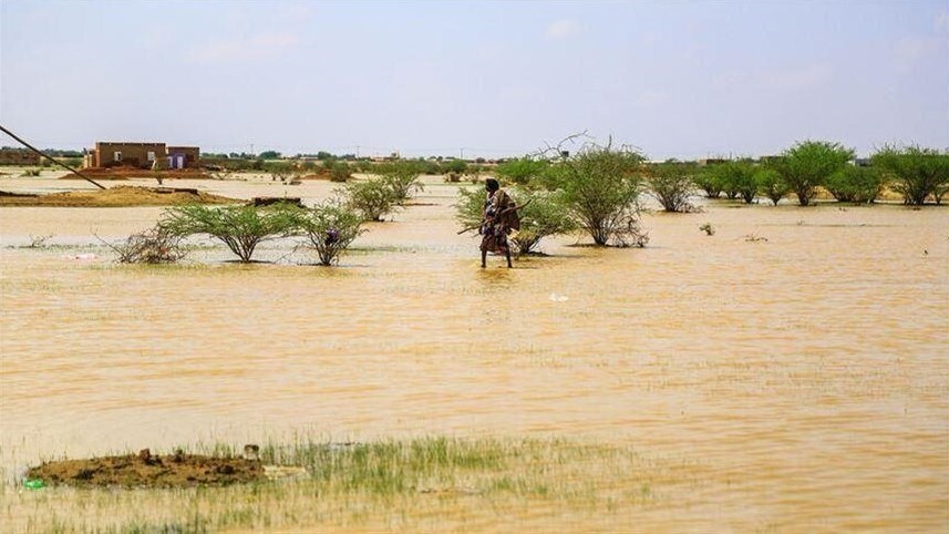 Обильные дожди приводят к гибели 15 человек в Маради